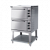 Electric ovens
